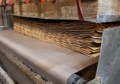 Flat Plywood Production